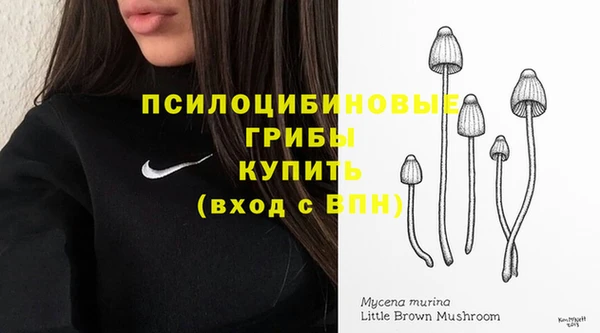 кокс Алексин