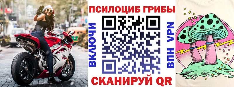 что такое   Барабинск  ссылка на мегу зеркало  Галлюциногенные грибы Magic Shrooms 